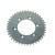 achtertandwiel RR-Spyke  42T